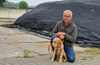 Leendert Tollenaar